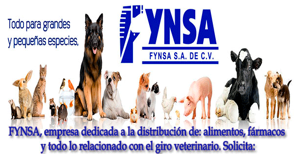 Empleos Fynsa